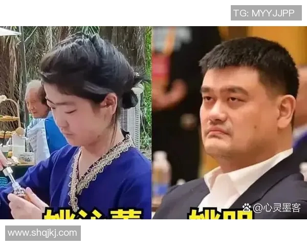 禅师从心灵与篮球的角度深度解析姚明的伟大与人生智慧 禅师从心灵与篮球的角度深度解析姚明的伟大与人生智慧